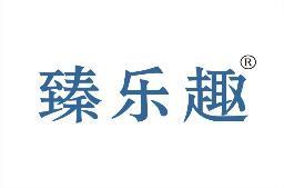 臻乐趣 