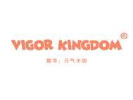 VIGOR KINGDOM“元气王国” 