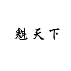 魁天下 