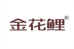 金花鲤 