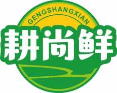 耕尚鲜
gengshangxian 