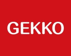 [29类]GEKKO
