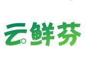 云鲜芬