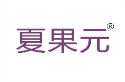 夏果元 