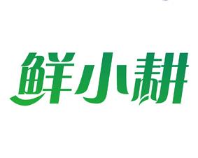 M马图形 
