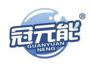 冠元能 