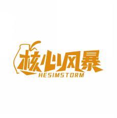 核心风暴 HESIMSTORM 