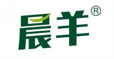 晨羊 
