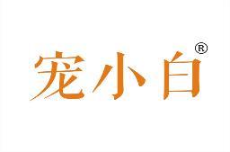 宠小白 