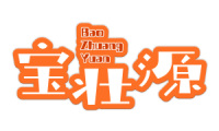宝壮源 