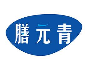 智慧狮 WISDOM LIONS 