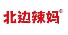 北边辣妈  