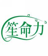 笙命力 