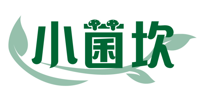 小菌坎 