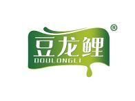 豆龙鲤 
