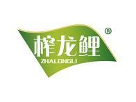 榨龙鲤 