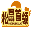松鼠首领SONGSHUSHOULING 