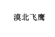 漠北飞鹰 