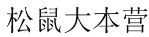 松鼠大本营 