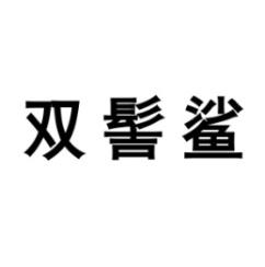 双髻鲨 