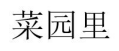 菜园里 