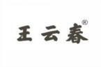 王云春 