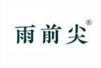 雨前尖 