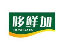 哆鲜加
DOSEGAES 