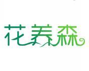 花养森 