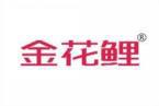 金花鲤 