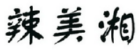辣美湘 