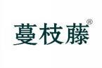 蔓枝藤 