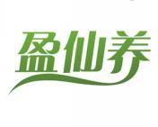 盈仙养