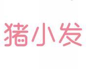 猪小发 