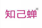 知己蝉 