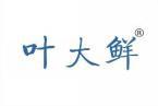 叶大鲜 