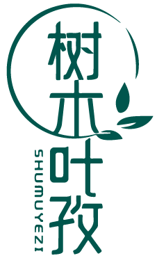 树木叶孜 