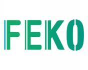 [30类]FEKO