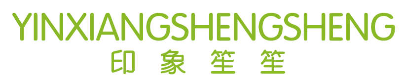 印象笙笙 