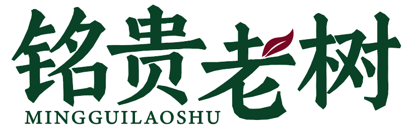 铭贵老树 