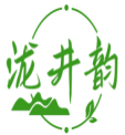 泷井韵 