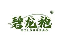 碧龙袍 