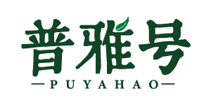 普雅号 