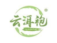 云洱袍 