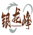银龙峰YINLONGFENG 
