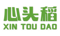 心头稻 