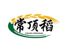 常顶稻 