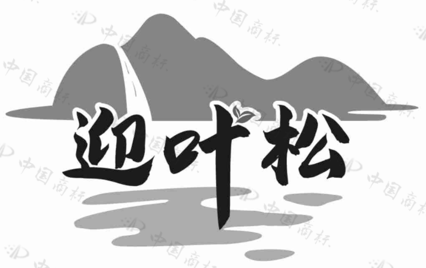 迎叶松 