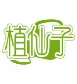 植仙子 