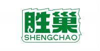 胜巢 